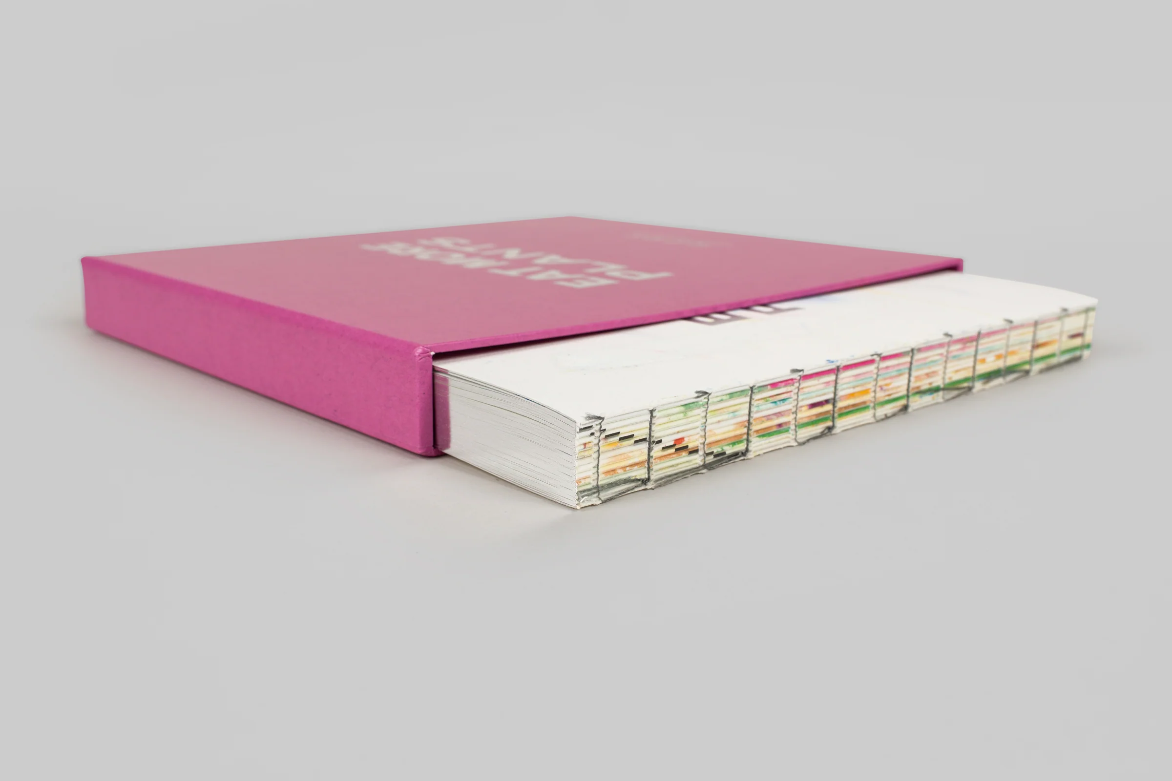 Eat More Plants. A Chef’s Journal (2024) - Image 4